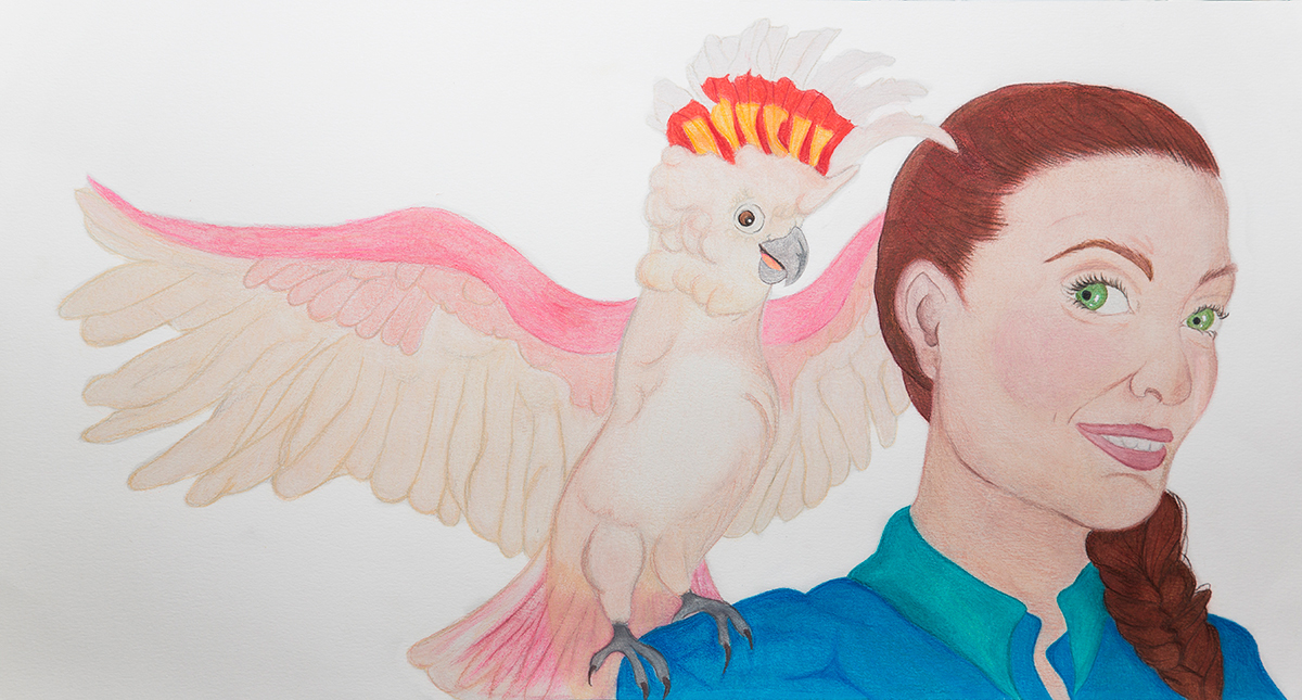 cockatoo portrait izabelle falvo